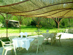 garden  restaurant